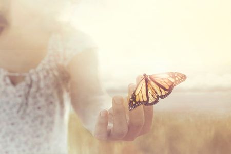 Schmetterling sitzt zart auf geöffneter Hand als Symbol für Heilung
