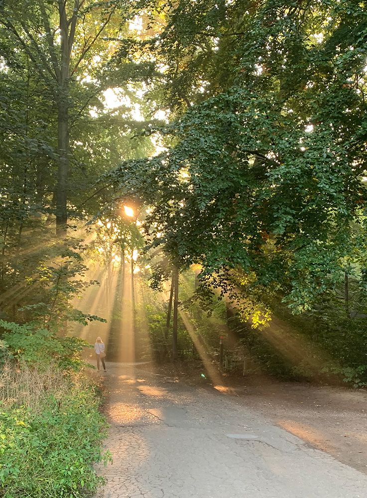 Spirituelle Begleitung in geschütztem Raum – mediale Methoden