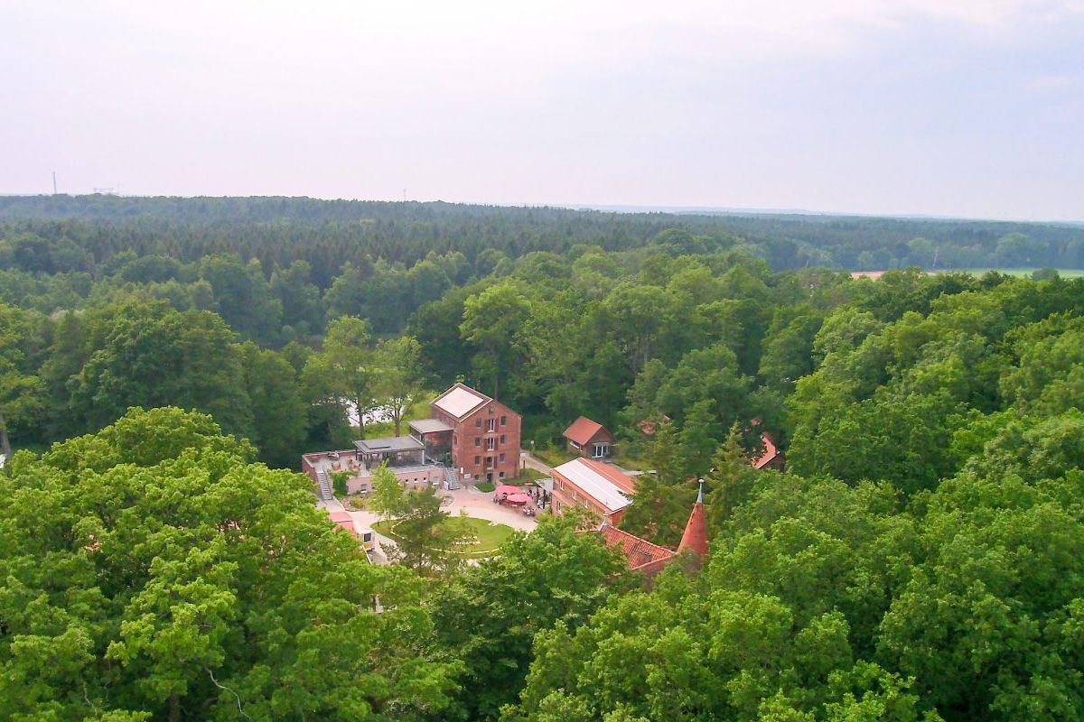 Woltersburger Mühle Gelände im Wald